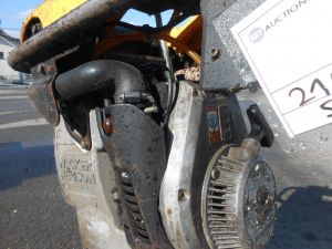 C:\fakepath\DSCN3146