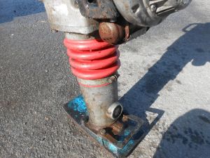 C:\fakepath\DSCN3147