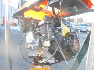 C:\fakepath\DSCN3204