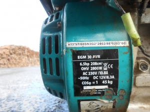 C:\fakepath\DSCN2965