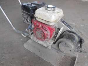 C:\fakepath\DSCN3974