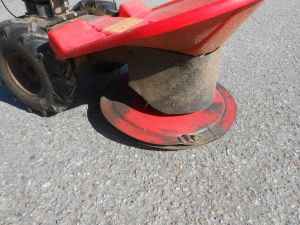 C:\fakepath\DSCN4095