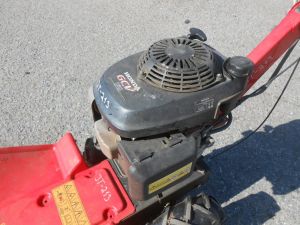 C:\fakepath\DSCN4097