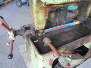 C:\fakepath\DSCN4215