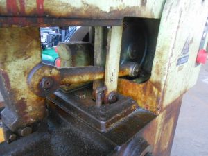 C:\fakepath\DSCN4216