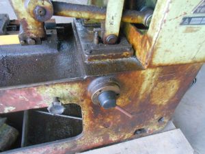 C:\fakepath\DSCN4218