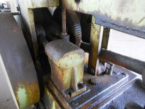 C:\fakepath\DSCN4223