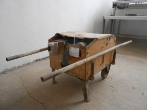 C:\fakepath\DSCN2642