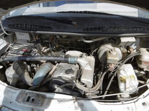 C:\fakepath\P1000713