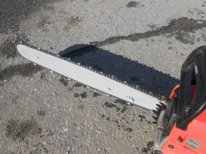 C:\fakepath\DSCN3159