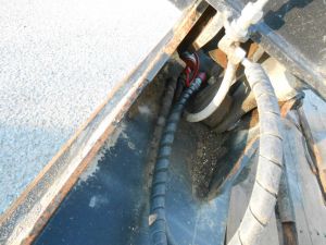 C:\fakepath\DSCN5025