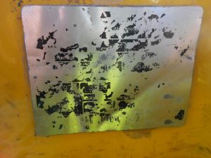 C:\fakepath\DSCN3809