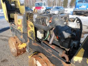 C:\fakepath\DSCN3815