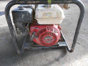 C:\fakepath\DSCN3822