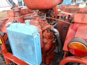 C:\fakepath\DSCN4289