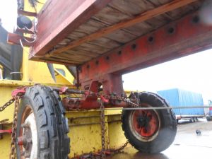 C:\fakepath\DSCN4272