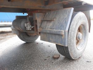 C:\fakepath\DSCN4487