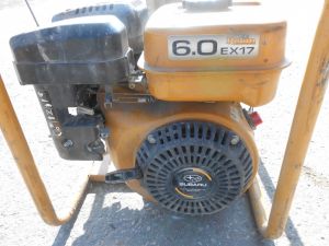 C:\fakepath\DSCN5088