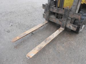 C:\fakepath\DSCN5469