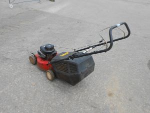 C:\fakepath\DSCN6251