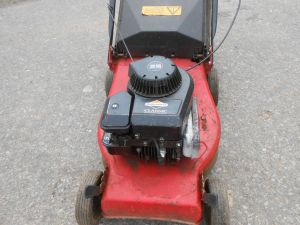 C:\fakepath\DSCN6252