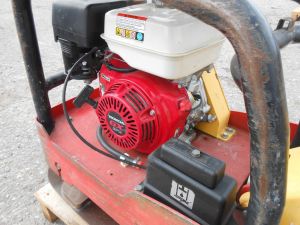 C:\fakepath\DSCN6969