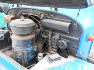 C:\fakepath\DSCN7197