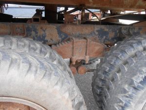 C:\fakepath\DSCN7198