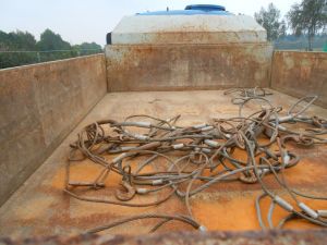 C:\fakepath\DSCN7199