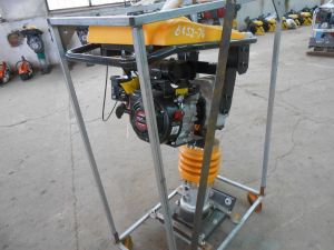 C:\fakepath\DSCN7633