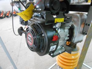 C:\fakepath\DSCN7634