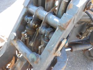 C:\fakepath\DSCN7479