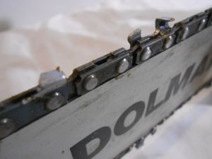 C:\fakepath\DSCN3388