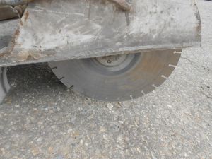 C:\fakepath\DSCN3980