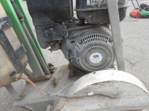 C:\fakepath\DSCN3981