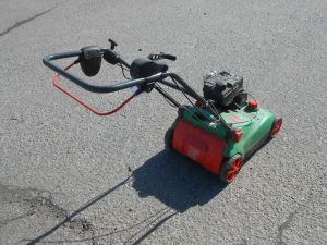 C:\fakepath\DSCN4103