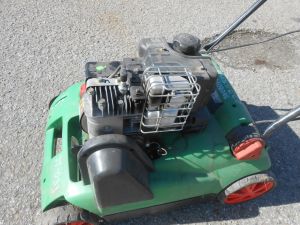 C:\fakepath\DSCN4105