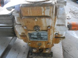 C:\fakepath\DSCN4228