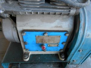 C:\fakepath\DSCN4274