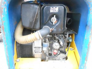 C:\fakepath\DSCN4881