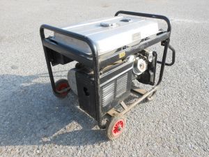 C:\fakepath\DSCN4979