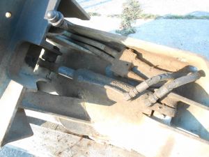 C:\fakepath\DSCN5030