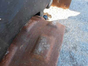 C:\fakepath\DSCN3818