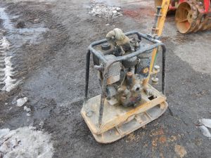 C:\fakepath\DSCN4095