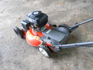 C:\fakepath\DSCN4225