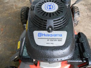 C:\fakepath\DSCN4227