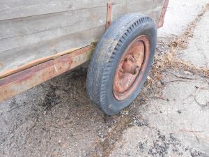 C:\fakepath\DSCN4352