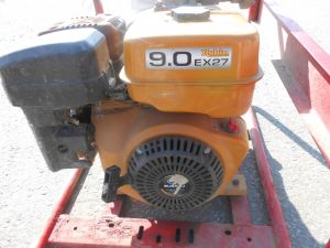 C:\fakepath\DSCN5049