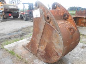 C:\fakepath\DSCN5247