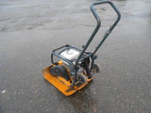 C:\fakepath\DSCN5386